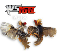 ws168 SAKTI26